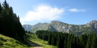 Straniger Alm Verbindung Österreich Italien Passo Polentin, Passo di Meledis