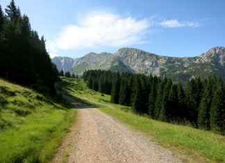 Straniger Alm Verbindung Österreich Italien Passo Polentin, Passo di Meledis
