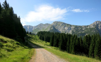 Straniger Alm Verbindung Österreich Italien Passo Polentin, Passo di Meledis