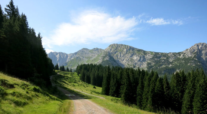 Straniger Alm Verbindung Österreich Italien Passo Polentin, Passo di Meledis